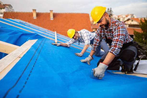 Best Roof Gutter Cleaning  in Key Biscayne, FL