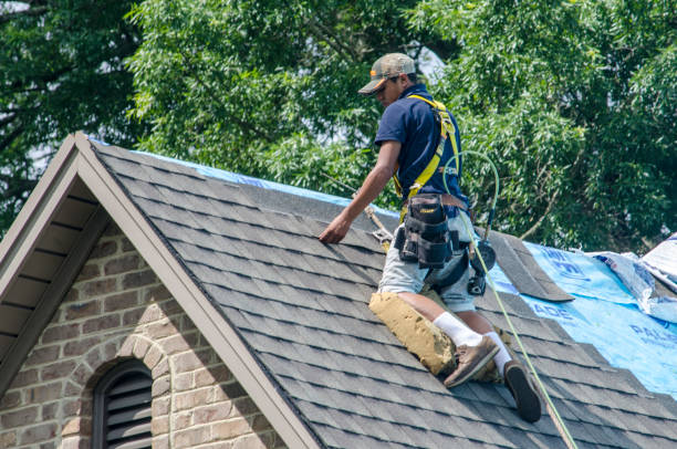 Best Roof Waterproofing Services  in Key Biscayne, FL
